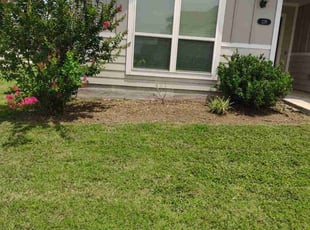 Weeding by Thomas Rodriguez for Blake H. in San Marcos, TX