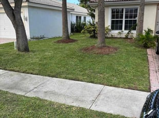 James W.'s Lawn Mowing service result