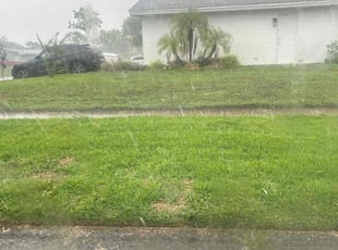 Cleanups by Luis Ramos for Shawn S. in Winter Park, FL