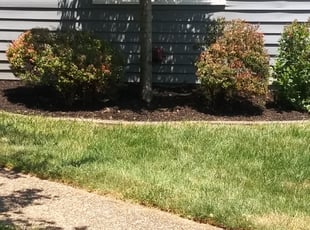 Mulching by James Smith for Greg G. in Louisville, KY