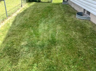 Kimberly V.'s Lawn Mowing service result