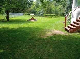 Jaz M.'s Lawn Service service result