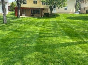 Vicki B.'s Grass Cutting service result