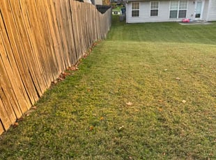 Shannon M.'s Grass Cutting service result