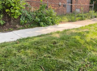Leaf Removal by Gabreial Lloyd for Deondre C. in Detroit, MI