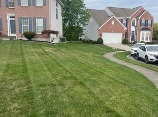 Dee S.'s Lawn Mowing service result