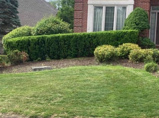 Bush Trimming by Andrew Gilmore for Geneva T. in Farmington Hills, MI