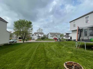 Philip O.'s Lawn Mowing service result