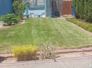 Ken P.'s Lawn Service service result