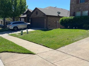 Martha D.'s Lawn Mowing service result