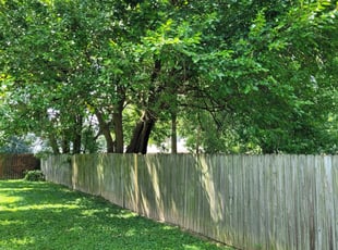Bush Trimming by Austin Bowles for Christina M. in Dayton, OH