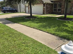 Miguel M.'s Lawn Care service result