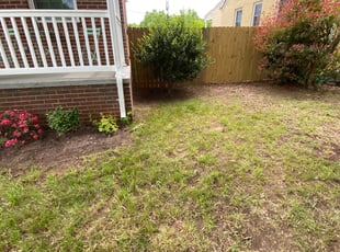 Leaf Removal by Jaquez Luke for Hillary T. in Richmond, VA