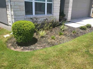 Bush Trimming by Josue Perez Rios for Calvin H. in Georgetown, TX