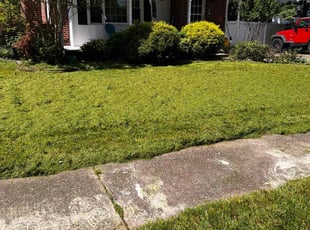 Trudy R.'s Lawn Care service result