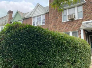 Yvonne D.'s Lawn Mowing service result