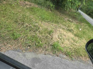 Cleanups by Janell Moreland for Sallie W. in Honeoye Falls, NY