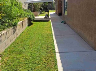 laura S.'s Lawn Mowing service result