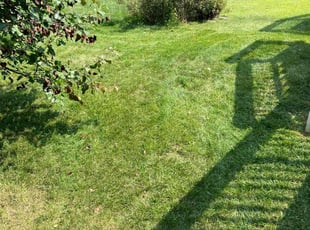 William J.'s Lawn Mowing Service service result