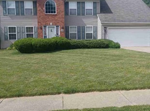Bush Trimming by Frank Ocejo for Harry R. in Akron, OH