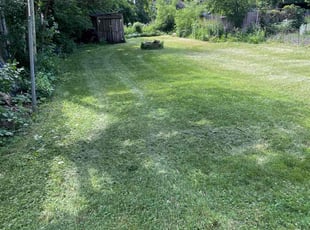 Sarah W.'s Lawn Care service result