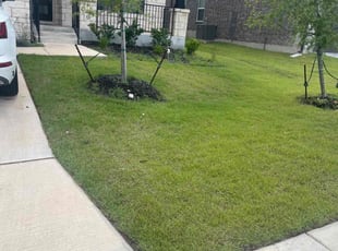 Derrick M.'s Grass Cutting service result
