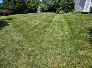 David J.'s Grass Cutting service result