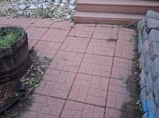 Weeding by Diego Arango for Jan M. in Aurora, CO