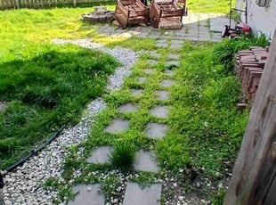 Cleanups by Chad Harrison for Dalton R. in Fishers, IN