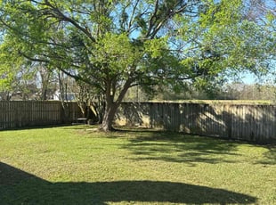 Shannon B.'s Grass Cutting service result