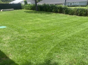 Chris I.'s Lawn Maintenance service result