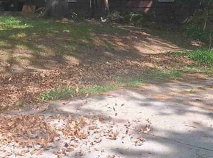 Leaf Removal by Danny Wells for Colin J. in Overland Park, KS