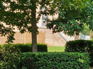 Bush Trimming by Mark Burke for Aditi . in Centreville, VA