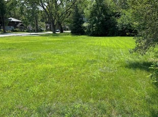 Chris F.'s Lawn Care service result