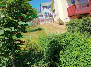 Cleanups by Sherry Tobey for Angela S. in Cheney, WA