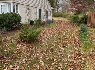 Leaf Removal by Angel P. for Tsimona M. in Falls Church, VA