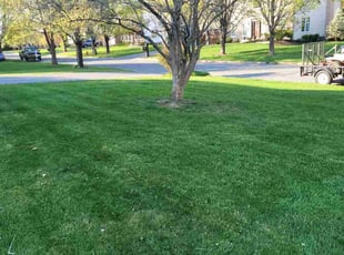Arthur W.'s Lawn Service service result