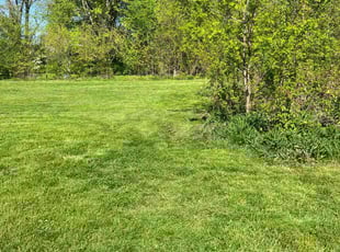 Troy D.'s Grass Cutting service result