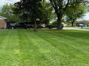 Zarmina R.'s Lawn Mowing service result