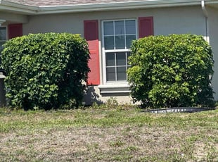 Bush Trimming by George Hawley for Elizabeth E. in Cape Coral, FL