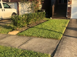 Bush Trimming by Chelle Estades for Janelle B. in Houston, TX