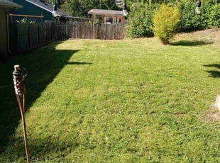 Darrin M.'s Lawn Care service result