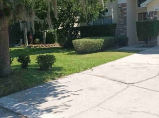 Kelly H.'s Grass Cutting service result