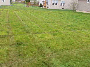 Jeff R.'s Lawn Service service result