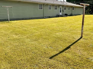 Edward W.'s Lawn Care service result