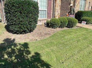 Weeding by Alma Avila for Viet P. in Murphy, TX
