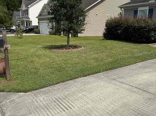 Patrick V.'s Grass Cutting service result