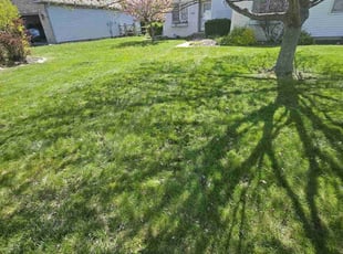 Fraser L.'s Lawn Mowing service result