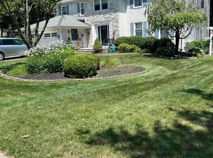 Kristin M.'s Lawn Mowing Service service result