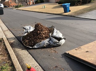 Cleanups by Tate Jackson for Mason B. in Alpharetta, GA